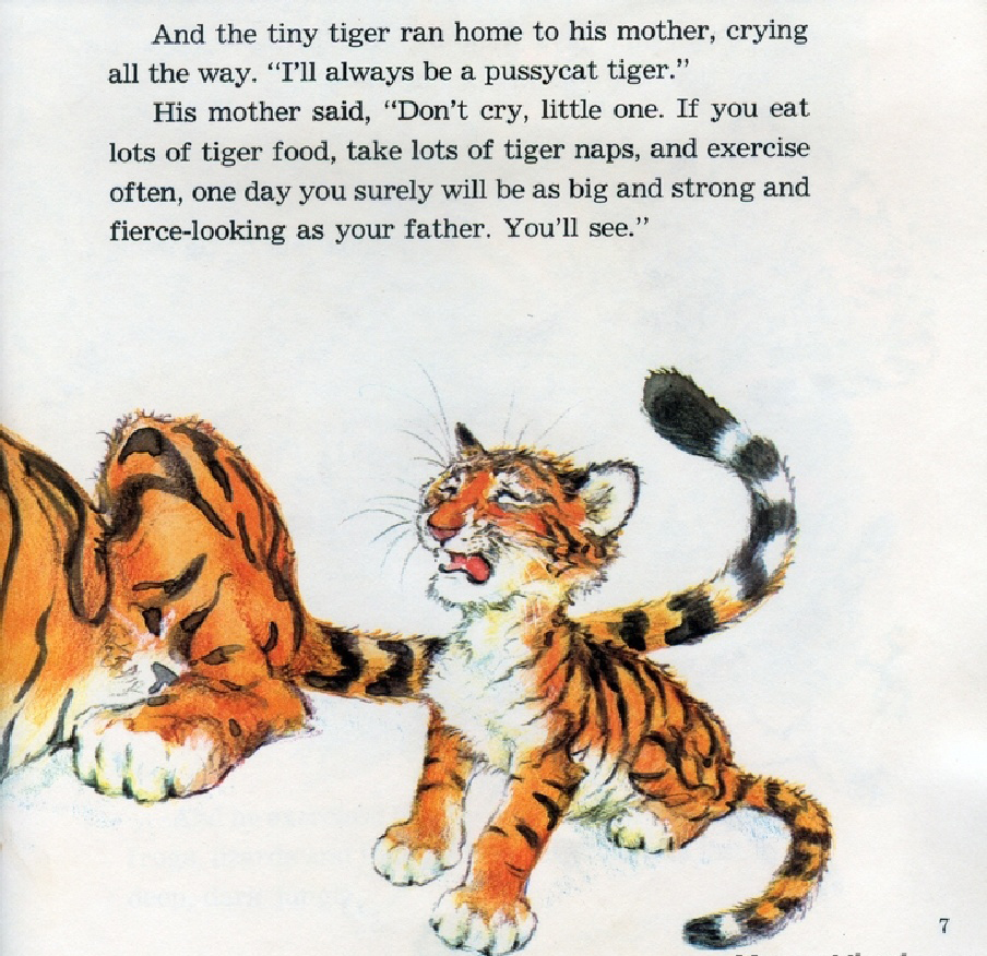 The Pussycat Tiger (09),绘本,绘本故事,绘本阅读,故事书,童书,图画书,课外阅读